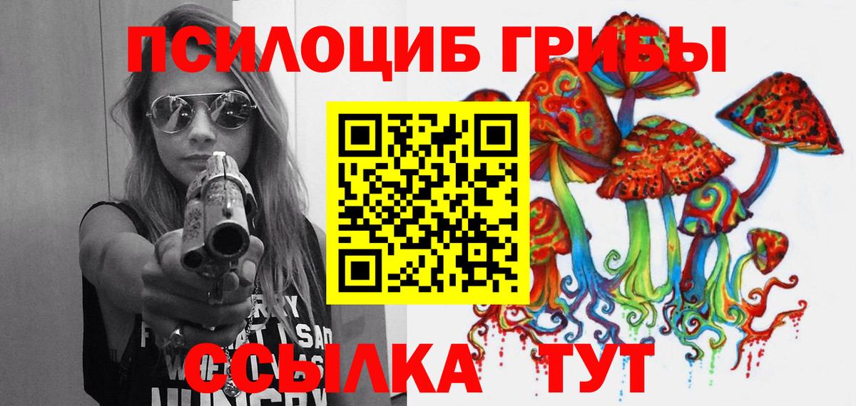 Елец  Галлюциногенные грибы GOLDEN TEACHER  Галлюциногенные грибы мицелий  Вход с VPN 